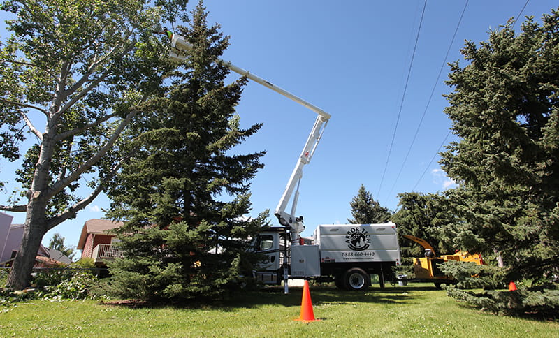 Aerial truck trimming trees